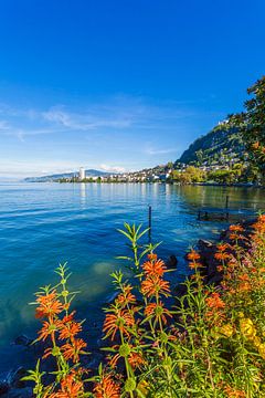 Montreux sur le lac Léman sur Werner Dieterich