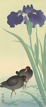 Waterhoentjes en iris., Ohara Koson