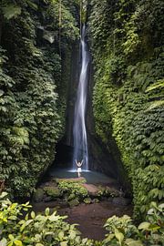 Waterfall in Bali in the beautiful nature