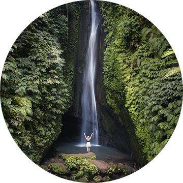 Waterval in Bali in de prachtige natuur van Perry Wiertz