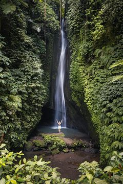 Chute d'eau à Bali dans une nature magnifique sur Perry Wiertz