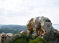 Elefant