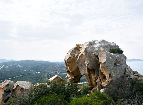 Eléphant sur Erna Kampman