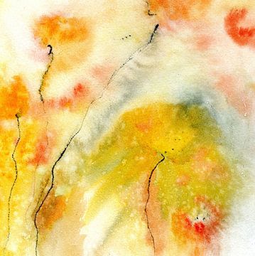 floral colour study 11