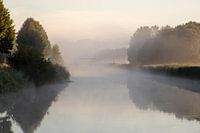 morning fog