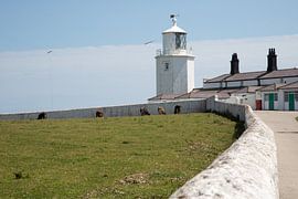 Vuurtoren aan de Engelse kust by Sander Meijering
