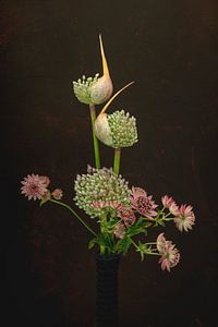 Schnittblumen. Zwiebelzwiebeln mit Meeresknoten