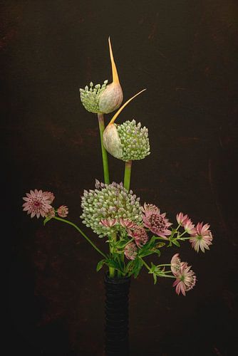 Snijbloemen. Uienbollen met Zeeuws knoopje