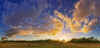 Cloud panorama at sunset