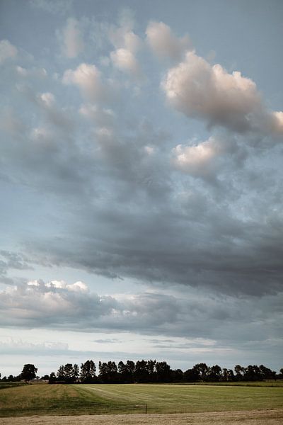 Zomer op het Veluwse platteland van Nanda van der Eijk