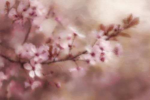 Kirschblüten im verträumten Nebel von Whale & Sons