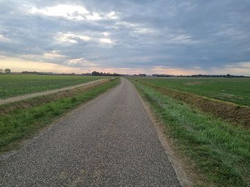 Road in landscape