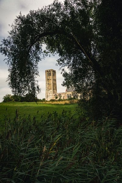 Le beau village des polders, Damme par Geert Van Baelen