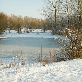 winter@zwevegem van Bart Colson