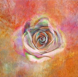 Deko Rose von Claudia Gründler