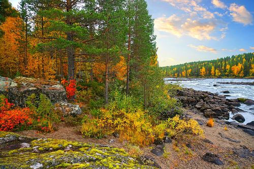 Zweeds Lapland in de herfst