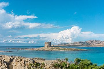 Spiagga La Pelosa: het mooiste strand op Sardinië van Just Go Global