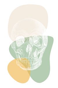 Skull sur Marja van den Hurk