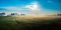 Nebel am Morgen