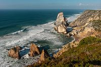Rugged rocky beach