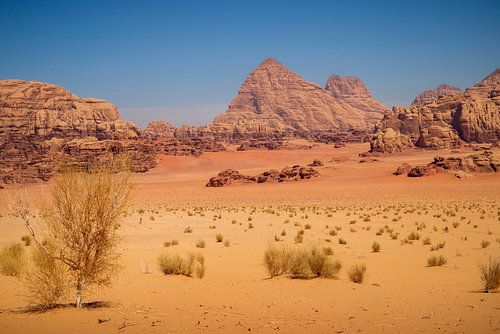 Wadi Rum
