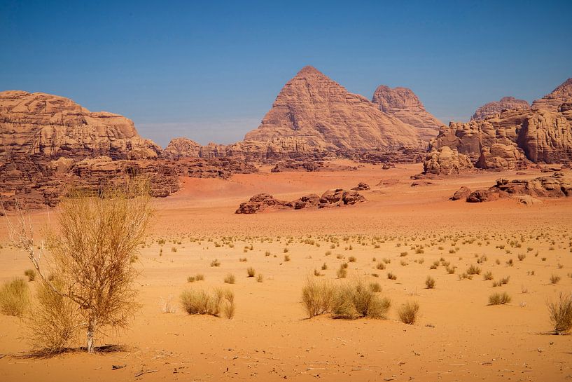 Wadi Rum van Antwan Janssen