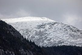 Een majestueuze, met sneeuw bedekte bergtop onder een bewolkte winterhemel, met een bergkam begroeid met naaldbomen en rotsachtig terrein van Artistic