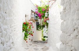 Une allée en Turquie