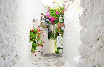 An alley in Turkey by Cynthia Hasenbos
