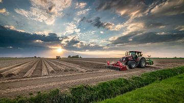 Arable farming in Groningen by Martijn van Dellen