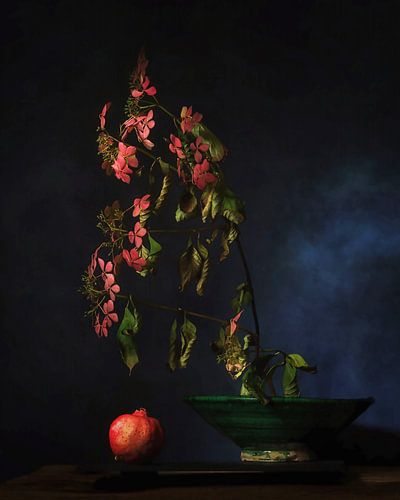 De schoonheid van verval .S tilleven met hortensia