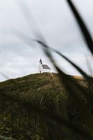 The Mound