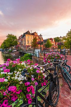 Leiden - Coucher de soleil sur les bacs à fleurs le long du vieux canal (0054) sur Reezyard