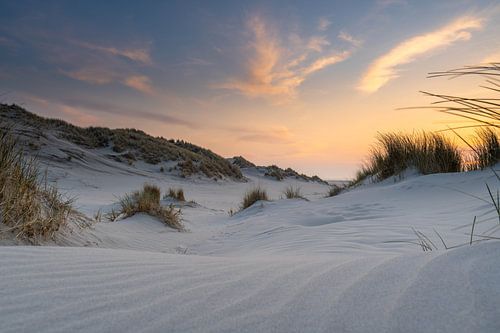 White dunes