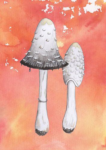 Scaled ink mushroom