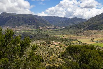 Landschap in het noorden van het Balearen eiland Mallorca van Reiner Conrad