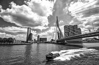 Wassertaxi an der Erasmus-Brücke in Rotterdam von Michèle Huge Miniaturansicht