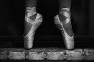 Ballet van Maikel Brands thumbnail