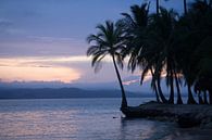 Sonnenuntergang am tropischen Strand in Panama von Michiel Dros Miniaturansicht