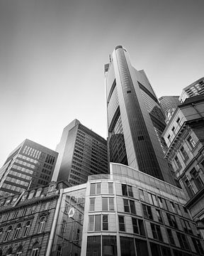 Stadsjungle (z/w) van Florian Schmidt