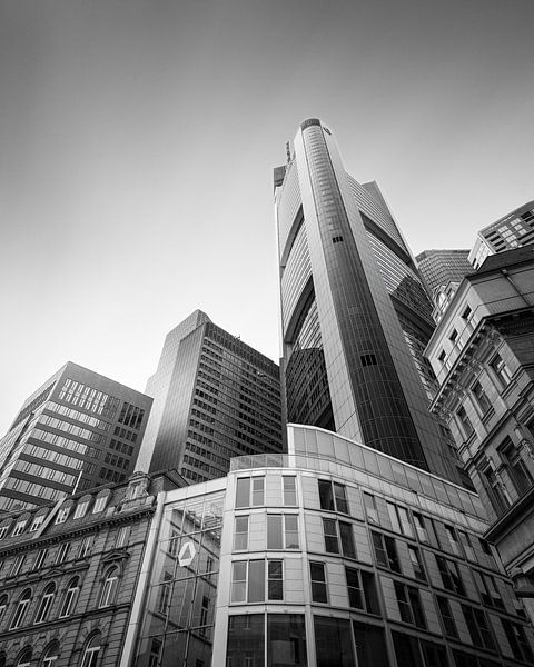 Jungle urbaine (b/w) par Florian Schmidt