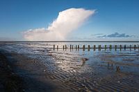 Winterse lucht wad.