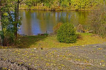 Herfst aan de Saale in Halle Saale in Duitsland