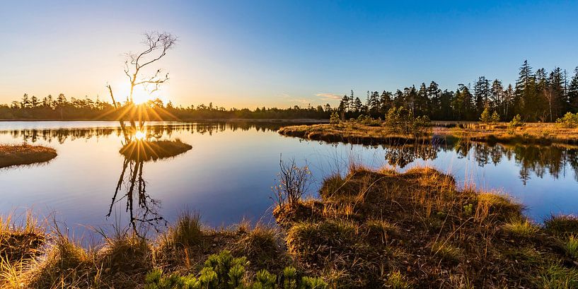 Wildsee in het Wildseemoor bij Kaltenbronn in het Zwarte Woud van Werner Dieterich
