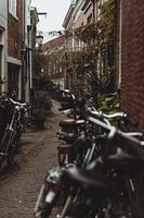 Streets of Haarlem | Fine art photo print | Netherlands, Europe