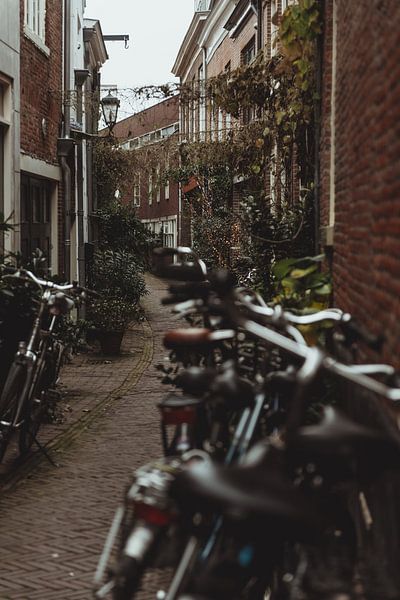 Rues de Haarlem | Tirage photo d'art | Pays-Bas, Europe par Sanne Dost