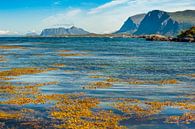 Noorse Zee vanuit Bølandet, Noorwegen van Margreet Frowijn thumbnail