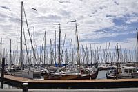 Port Vlieland