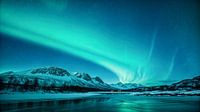 Polarlichter über einer Winterlandschaft