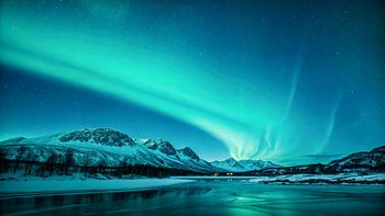 Aurores boréales au-dessus d'un paysage hivernal